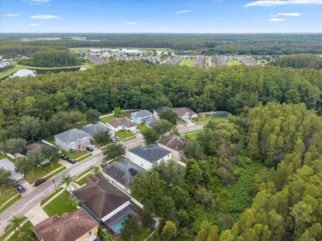 3336 BELLERICAY LANE, Land O Lakes, FL 34638
