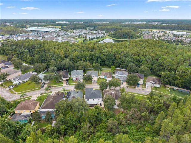 3336 BELLERICAY LANE, Land O Lakes, FL 34638