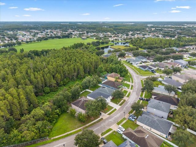 3336 BELLERICAY LANE, Land O Lakes, FL 34638