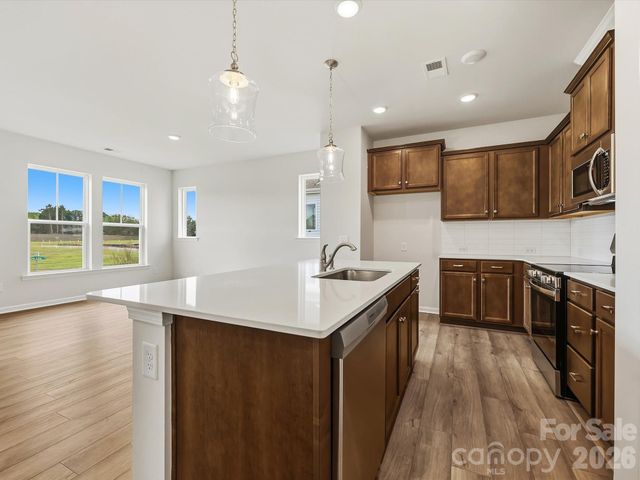 6605 Fire Lily Lane, Charlotte, NC 28216