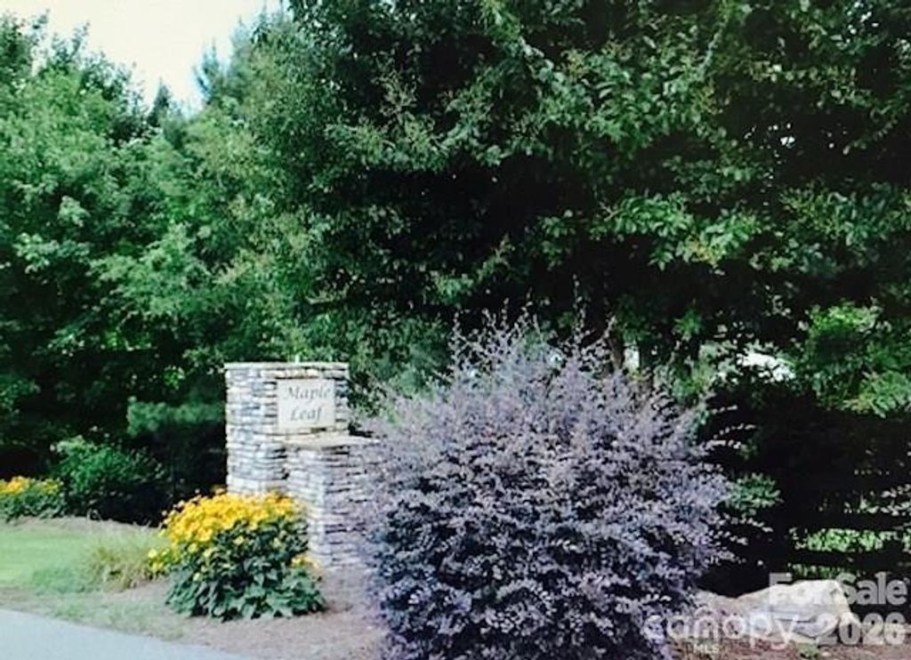 6663 Maple Spring Court 21, Denver, NC 28037