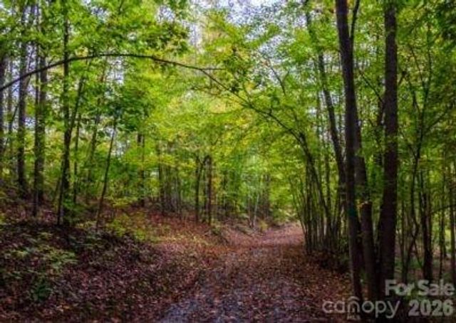 538 Grandview Peaks Drive 31, Nebo, NC 28761