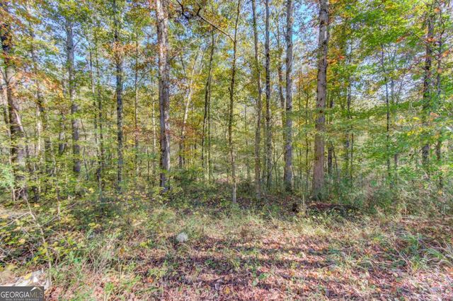 1520 Rivermist Drive, Monroe, GA 30655