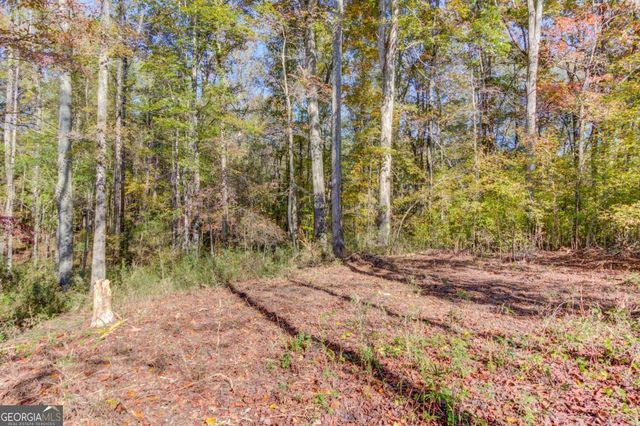 1520 Rivermist Drive, Monroe, GA 30655