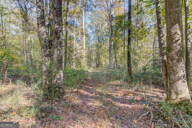 1520 Rivermist Drive, Monroe, GA 30655