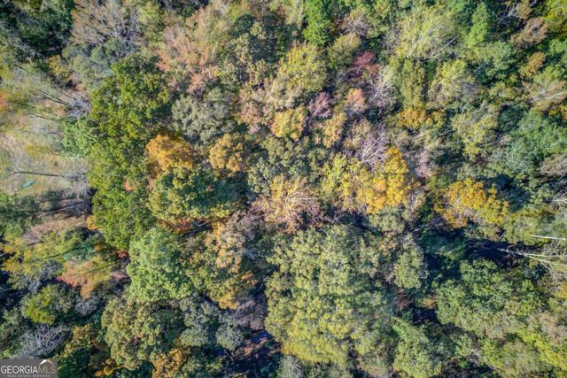 1520 Rivermist Drive, Monroe, GA 30655