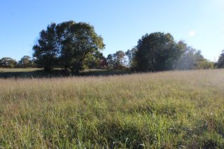 4.93 Acres - Zinc Road, Harrison, AR 72601