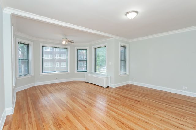 6915 S Paxton Avenue 1, Chicago, IL 60649