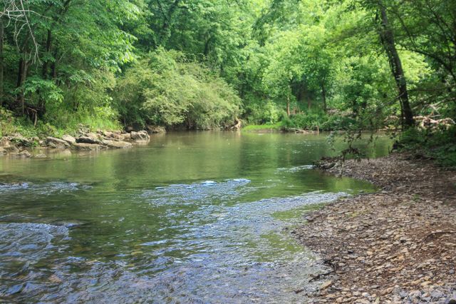 4254 Oswin Drive, Murfreesboro, TN 37129