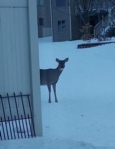 948 Southern Ridge Drive SW, Rochester, MN 55902