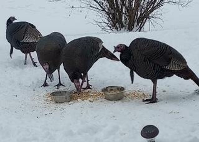 948 Southern Ridge Drive SW, Rochester, MN 55902