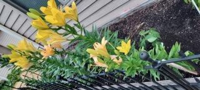 948 Southern Ridge Drive SW, Rochester, MN 55902