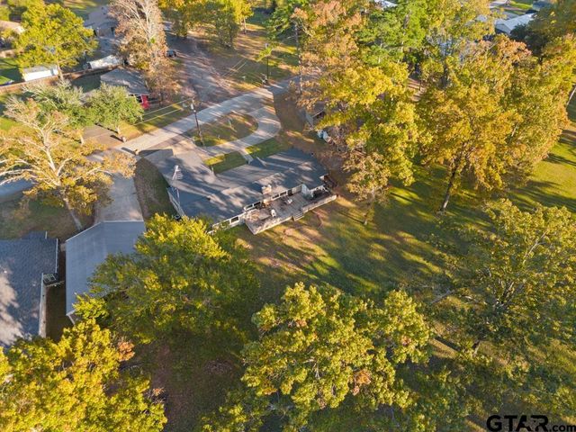 526 Shadywood Lane, Avinger, TX 75630