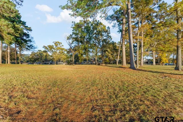 526 Shadywood Lane, Avinger, TX 75630