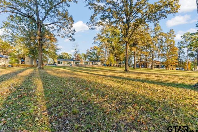 526 Shadywood Lane, Avinger, TX 75630