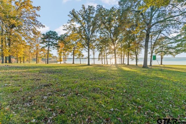 526 Shadywood Lane, Avinger, TX 75630