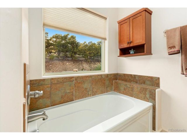 12215 Saddle Ridge Ln, Salida, CO 81201