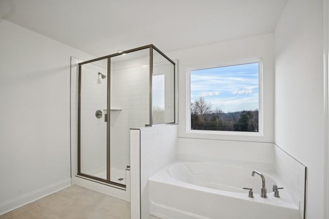 157 Emeline Way, Mount Juliet, TN 37122