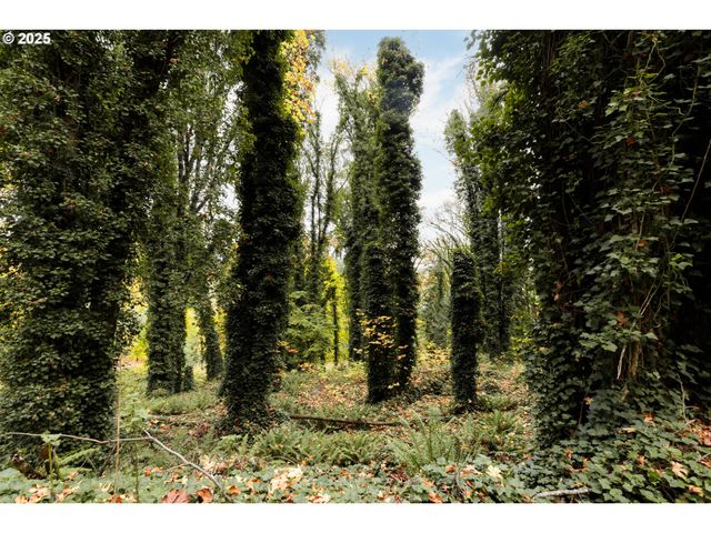 0 Lindberg Rd, Rainier, OR 97048