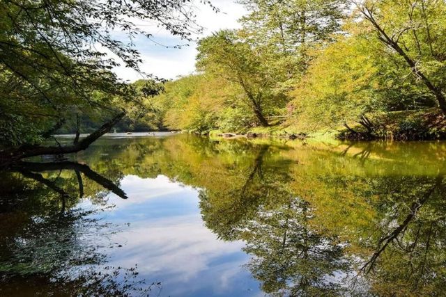 83 Riverview, Blue Ridge, GA 30513