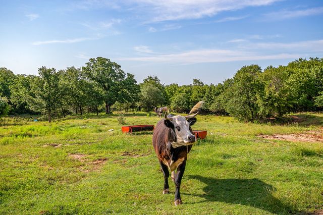 227 Rock Springs Road, Weatherford, TX 76088