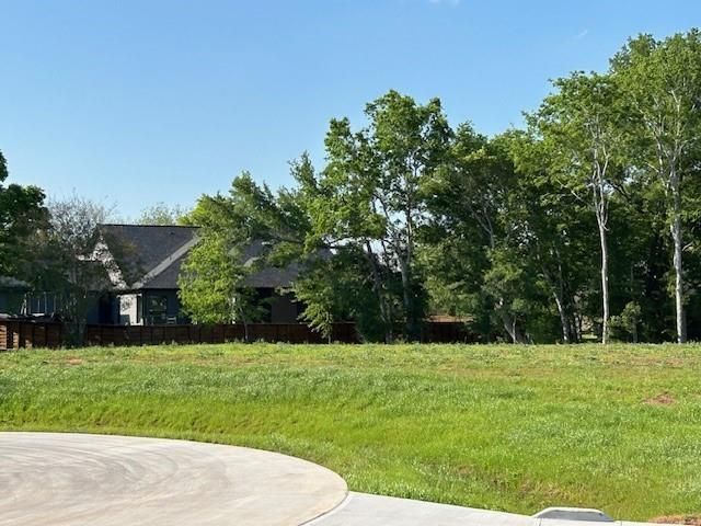 33206 Worthing Lane, Fulshear, TX 77441