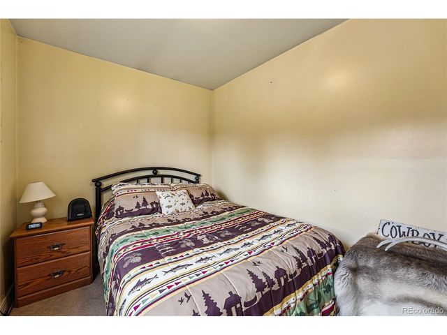 142 June Ln, Hartsel, CO 80449