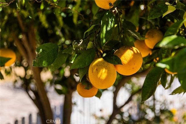 1685 Corbett Highlands Place, Arroyo Grande, CA 93420