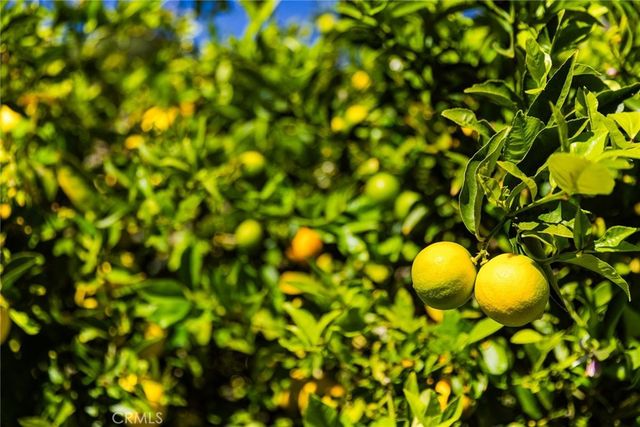 1685 Corbett Highlands Place, Arroyo Grande, CA 93420