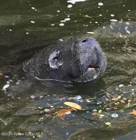 1710 Westport Road, Merritt Island, FL 32952