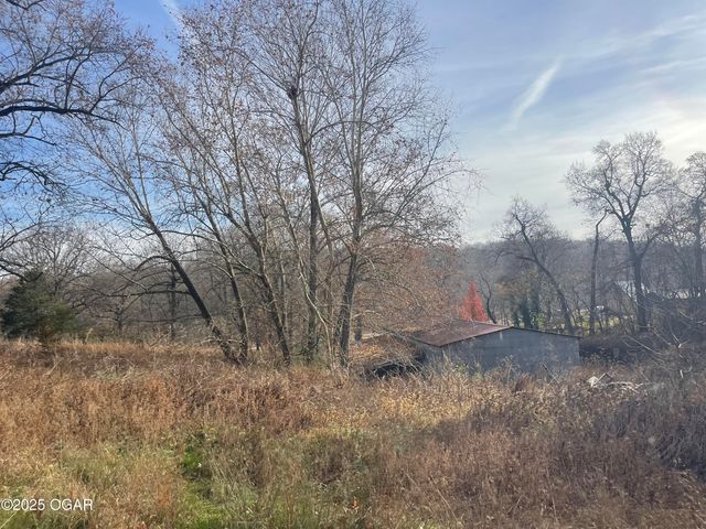 10256 Otter Drive, Granby, MO 64844