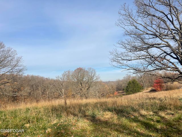 10256 Otter Drive, Granby, MO 64844