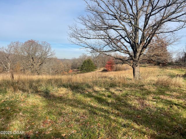 10256 Otter Drive, Granby, MO 64844