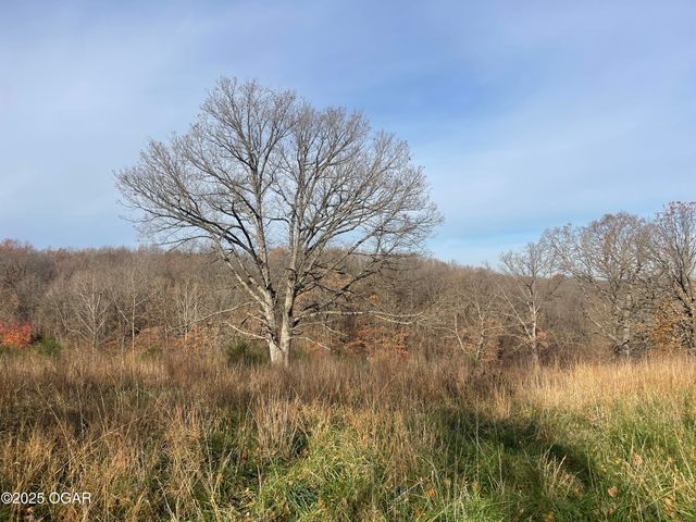 10256 Otter Drive, Granby, MO 64844