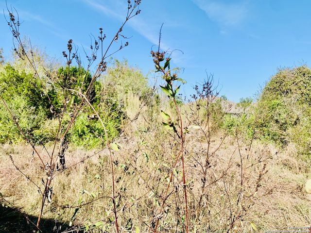 5677 Cross Over, New Braunfels, TX 78132