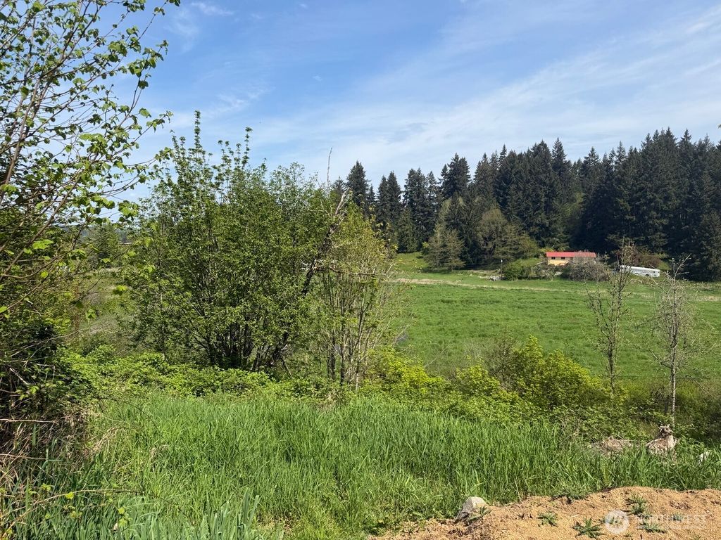0 Roswell Road, Centralia, WA 98531