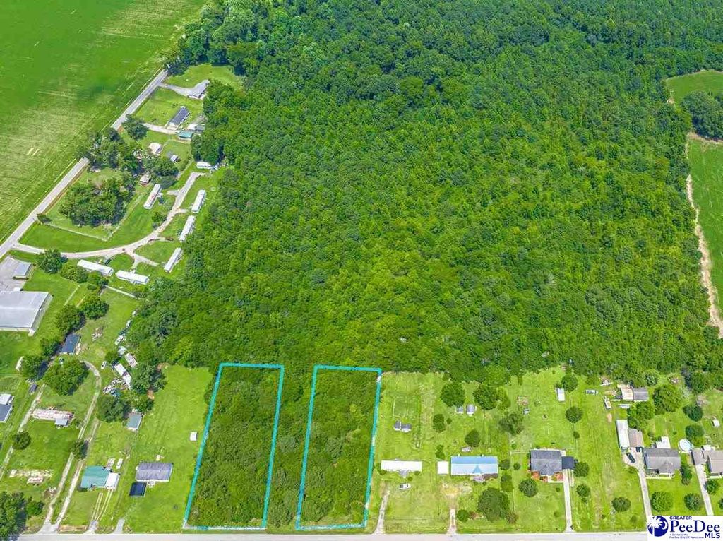 TBD Black Branch Road, Dillon, SC 29536
