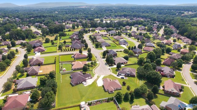 138 Tellico Ridge Road, New Market, AL 35761