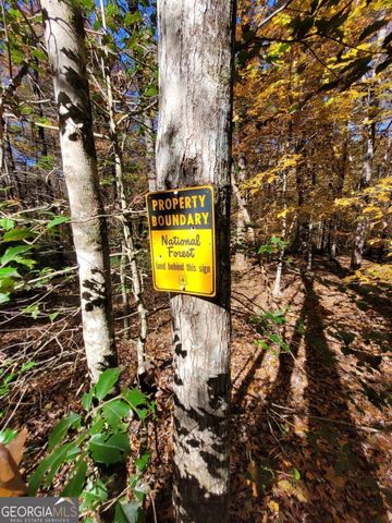 205 Briarwood Lane, Clayton, GA 30525