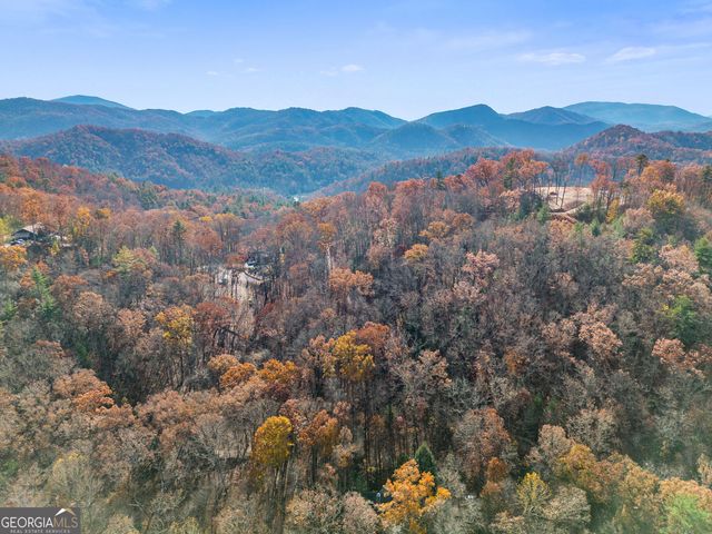 205 Briarwood Lane, Clayton, GA 30525