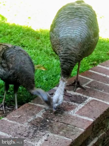 929 N MANOR RD, Honey Brook, PA 19344