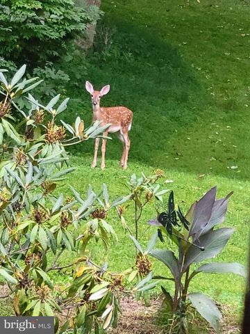 929 N MANOR RD, Honey Brook, PA 19344