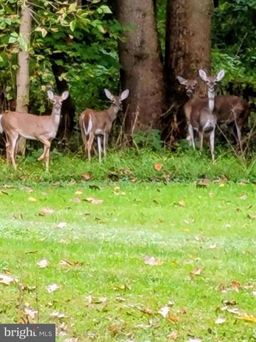 929 N MANOR RD, Honey Brook, PA 19344