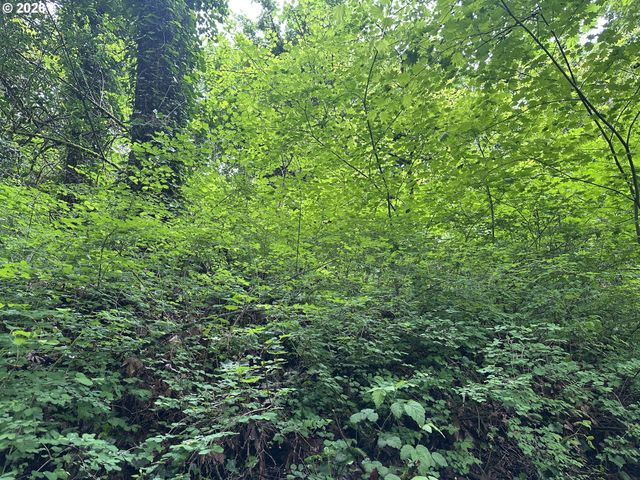 0 Sw McDonnell, Portland, OR 97239