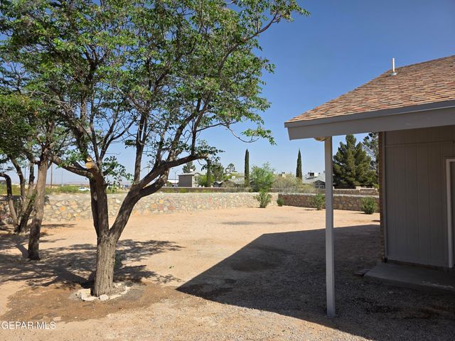 297 BARREL CACTUS Drive, Horizon City, TX 79928