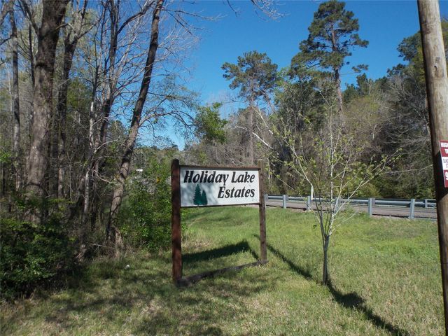 400 Driftwood Drive, Goodrich, TX 77335