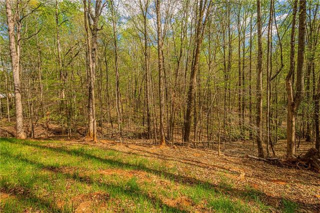 135 Rocky Branch Drive, Murrayville, GA 30564