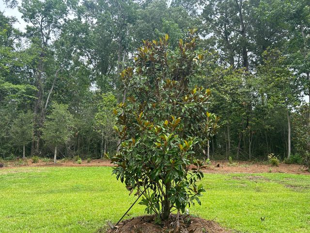 125 Berry Shoals Drive, Summerville, SC 29485