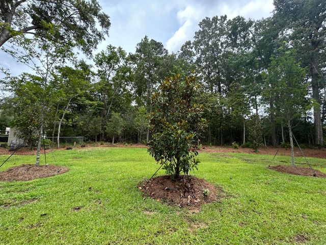 125 Berry Shoals Drive, Summerville, SC 29485