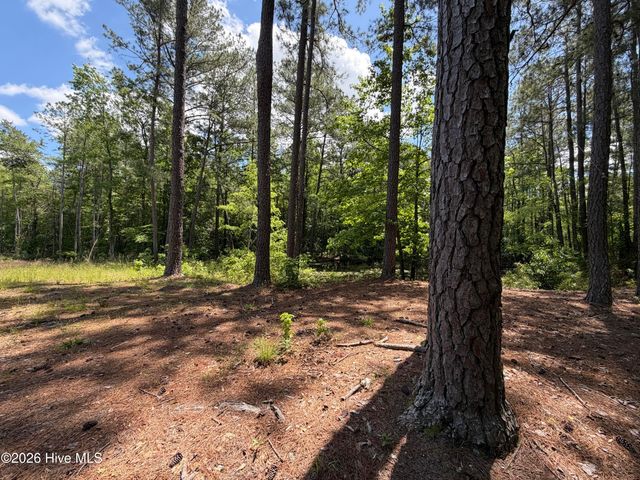 979 Aiken Road, Vass, NC 28394